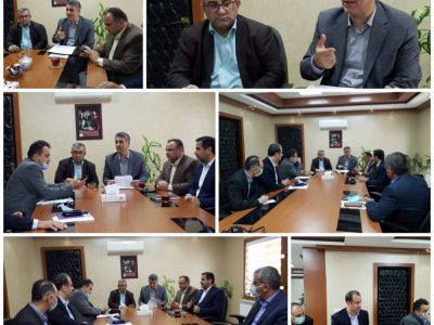 بازدید مشاور وزیر و هیئت همراه از کارخانه آرد پاکسابان ساری