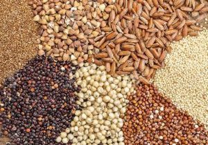 کمبود سویا و ذرت در واحدها