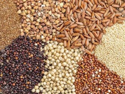 کمبود سویا و ذرت در واحدها