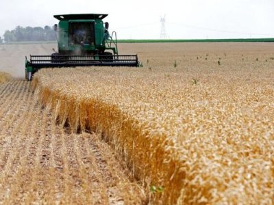 ذخایر گندم جهانی در پایین‌ترین سطح ۶ سال اخیر!