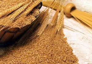 سازمان حمایت قیمت جدید سبوس را اعلام کرد + سند