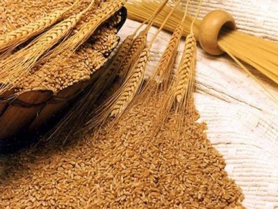 سازمان حمایت قیمت جدید سبوس را اعلام کرد + سند