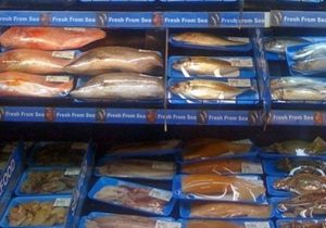 توافق همکاری هلدینگ کشاورزی کوثر با شرکت های عمانی