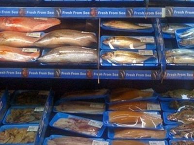 توافق همکاری هلدینگ کشاورزی کوثر با شرکت های عمانی