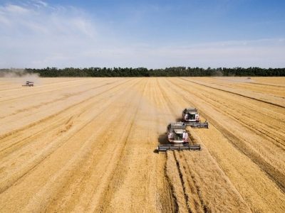 روسیه محصولات کشاورزی خود را فقط به “کشورهای دوست” صادر میکند