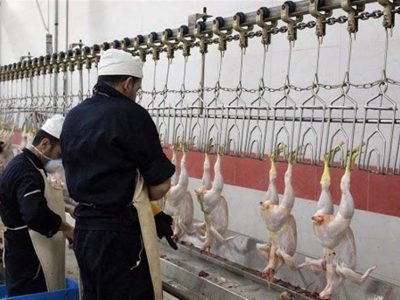 قیمت مرغ ۹ هزار تومان کاهش یافت