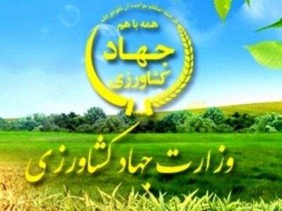 مبالغ ارزی شرکت آریو تجارت نزد بانک مرکزی است