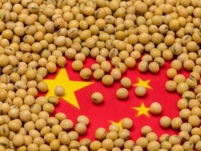 چگونه سویا پاشنه آشیل چین در جنگ تجاری با آمریکا شد؟