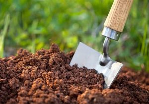 ضرورت تخصیص ۵۰ هزار میلیارد تومان اعتبار به آبخیزداری