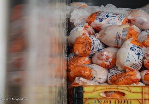 مرغ با ارز نیمایی وارد بازار شد