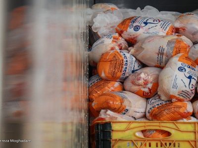 مرغ با ارز نیمایی وارد بازار شد