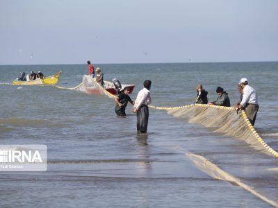 افزایش ۱۴ درصدی صادرات آبزیان