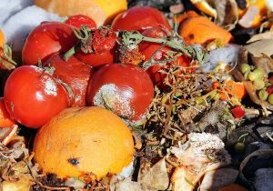 کاهش ۳۰ درصدی ضایعات با اصلاح سیاست ارز ترجیحی