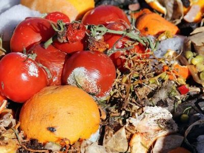 کاهش ۳۰ درصدی ضایعات با اصلاح سیاست ارز ترجیحی