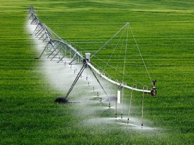 ۳۰ درصد اراضی آبی کشور به سامانه های نوین آبیاری مجهز شده است