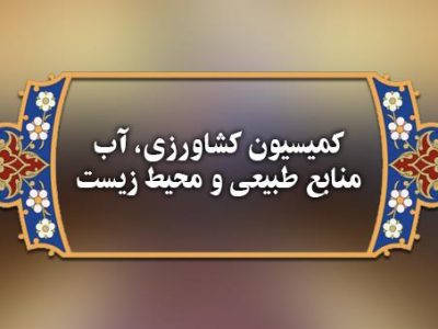 عدم وجود آمار دقیق مانع از صادرات دام مازاد شد
