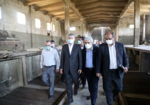 در حوزه نان نیازمند نوآوری هستیم/ موزه آرد و نان ایجاد می‌شود