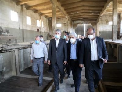 در حوزه نان نیازمند نوآوری هستیم/ موزه آرد و نان ایجاد می‌شود