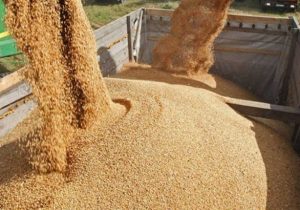 سوابق و مدارک شرکت متعهد به صادرات دام مازاد و تامین نهاده‌های دامی به کمیسیون ارسال شود