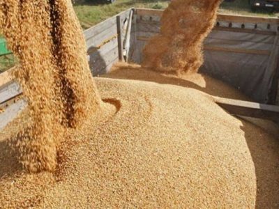 سوابق و مدارک شرکت متعهد به صادرات دام مازاد و تامین نهاده‌های دامی به کمیسیون ارسال شود