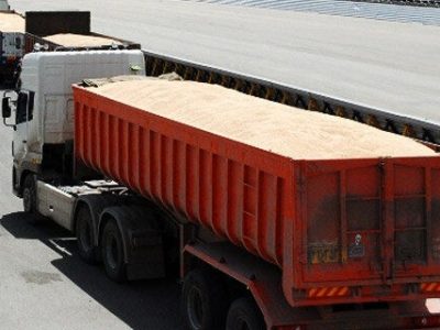 ارتقای کیفیت گندمهای داخلی با اجرای دستورالعمل خرید تضمینی