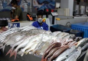 آبزیان کالای مکمل گوشت قرمز و مرغ در سبد خانوارهای کم درآمد