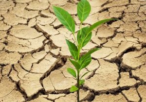 تاثیر‌ خشکسالی بر نرخ بیکاری فصل بهار