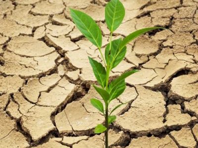 تاثیر‌ خشکسالی بر نرخ بیکاری فصل بهار