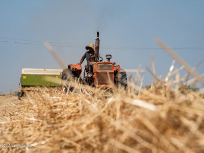 قیمت تراکتور با حذف سهمیه فروش، به ثبات می رسد؟