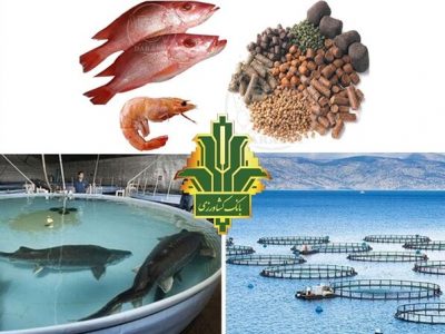 رشد ۱۰۸ درصدی پرداخت تسهیلات به بخش شیلات و آبزیان