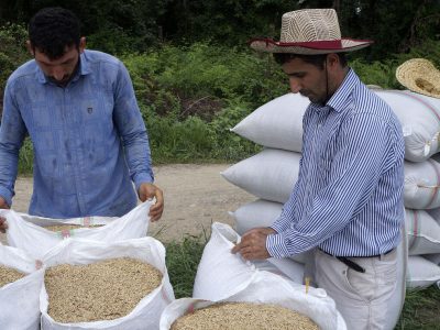 کاهش ۱۰ هزار تومانی قیمت هر کیلو برنج ایرانی/ قیمت برنج شمال بین ۷۰ تا ۱۱۰ هزار تومان است