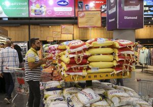آغاز روند کاهشی قیمت برنج در بازار/ ثبات قیمت‌های گوشت قرمز، مرغ و لبنیات