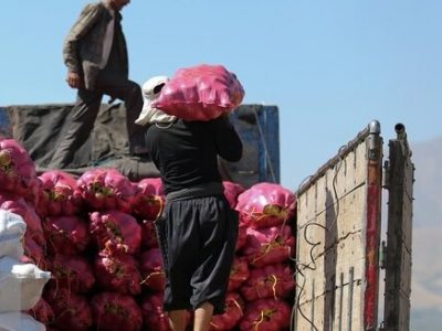 صادرات محصولات کشاورزی با این وضعیت منطقی نیست