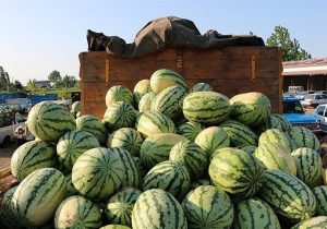 عراق واردات ۶ محصول کشاورزی از همه کشورها را ممنوع کرد