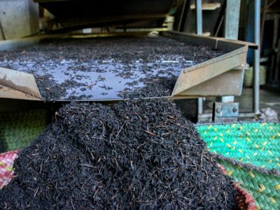 کاهش قدرت خرید چای مردم 