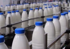 کالابرگ الکترونیکی لبنی راهکار افزایش سرانه مصرف