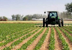 بخش کشاورزی ما را از وابستگی به نفت نجات میدهد