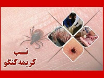 مردم نکات بهداشتی در رابطه با تب کریمه کنگو را رعایت کنند