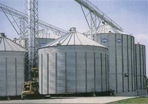 خرید تضمینی گندم به ۴.۵ میلیون تن رسید