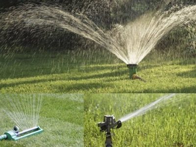 مصرف نصف آب‌های زیرزمینی تهران برای آبیاری فضای سبز