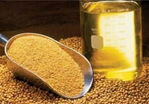 سقوط قیمت‌های جهانی روغن با پیشتازی پالم + جداول