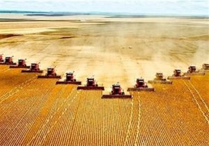 تفاهم ایران و روسیه برای کشت فراسرزمینی غلات در روسیه