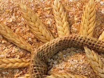 ستاد تنظیم بازار قیمت عادلانه برای سبوس تعیین کند