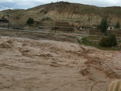 حضور رییس سازمان دامپزشکی در مناطق سیل زده داراب استان فارس