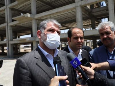 حمایت دولت از صنعت دام و طیور با کمک تشکلهای بخش کشاورزی