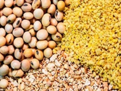 جزئیاتی از آمار واردات نهاده های دامی در ۱۱ ماهه ۱۴۰۱