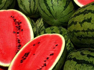 دریافت عوارض آب مجازی ازصادرکنندگان میوه و تره بار در گمرک