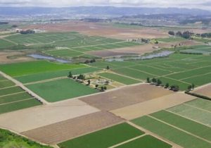 فاینانس چین برای اجرای فاز دوم طرح ۵۵۰ هزار هکتاری خوزستان نهایی میشود