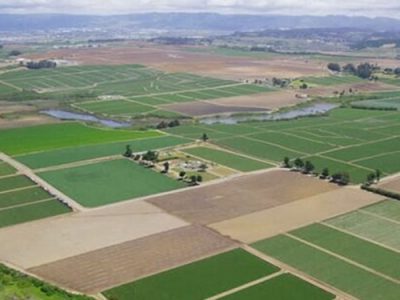 فاینانس چین برای اجرای فاز دوم طرح ۵۵۰ هزار هکتاری خوزستان نهایی میشود