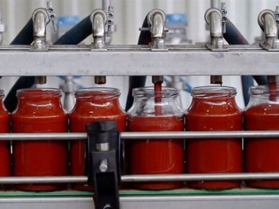 ۲۵۰ واحد تولیدی کنسرو، رب گوجه و ماهی تون تعطیل شدند